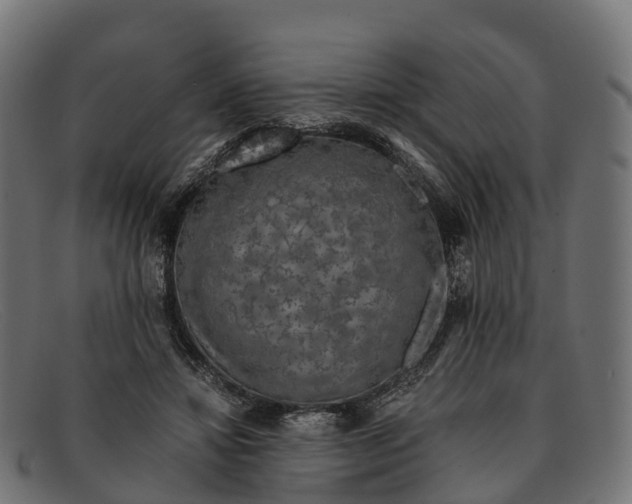 X0000091680452200709131551