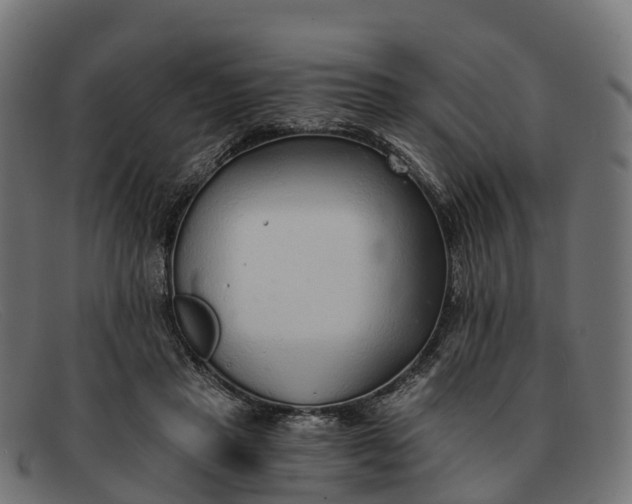 X0000091680453200709131551