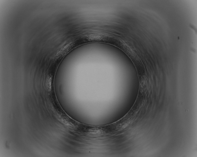 X0000091680454200709131551