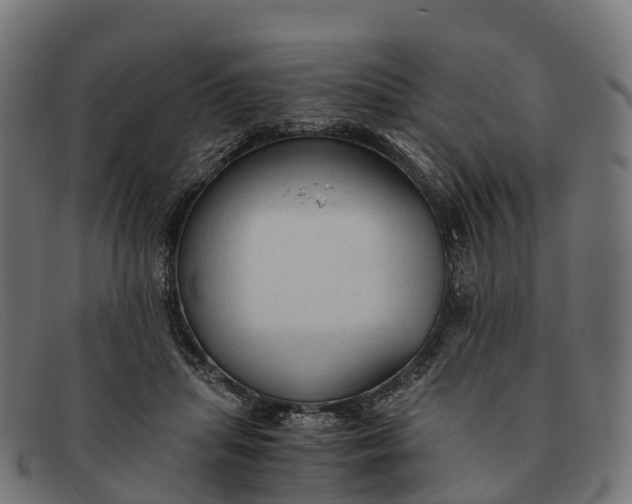 X0000091680455200709131551