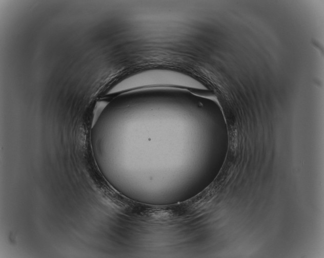 X0000091680456200709131551