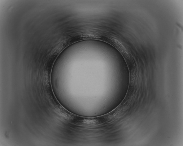 X0000091680457200709131551