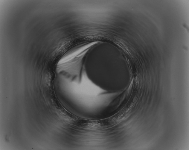 X0000091680458200709131551