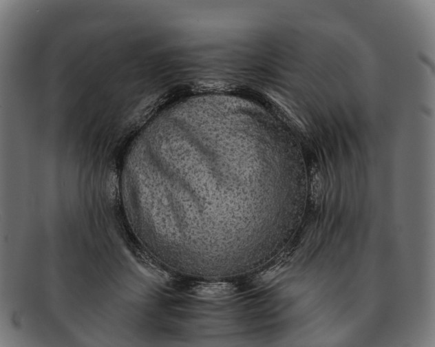 X0000091680459200709131551