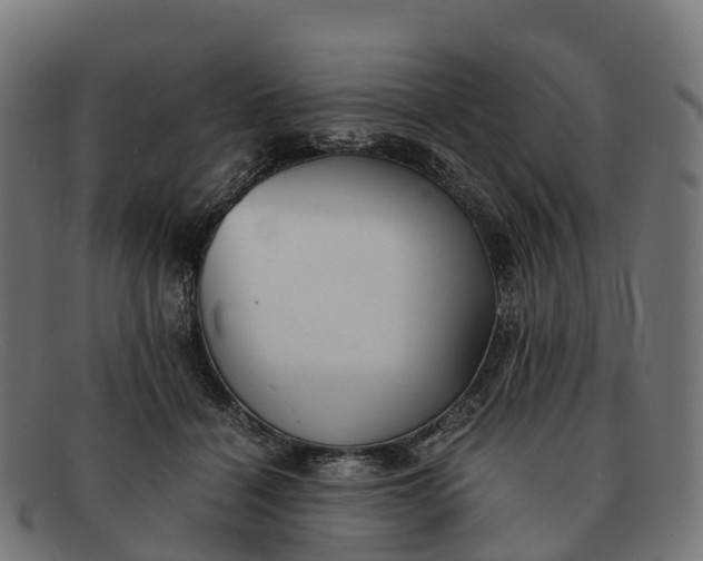 X0000091680460200709131551