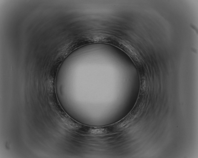 X0000091680461200709131551