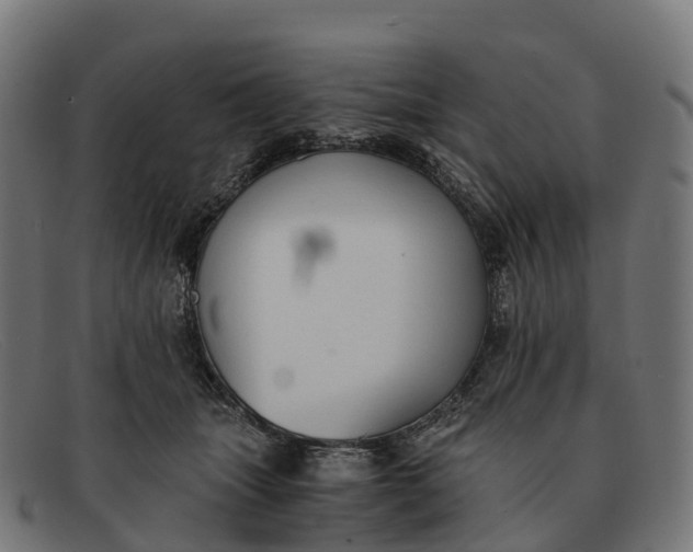 X0000091680463200709131551