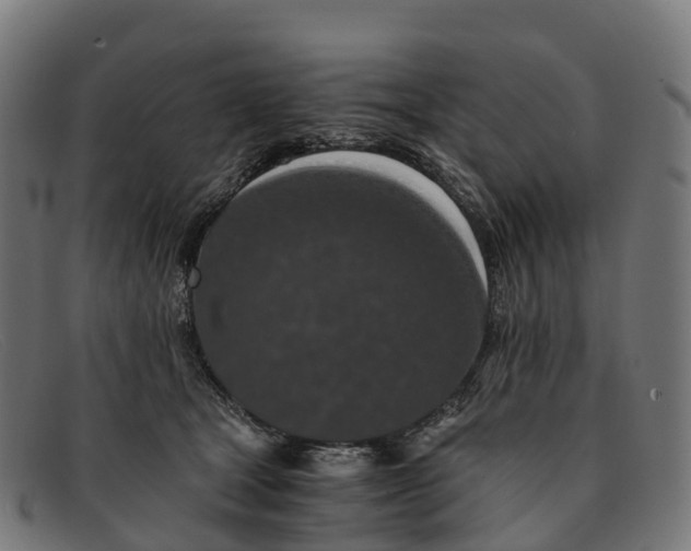 X0000091680465200709131551