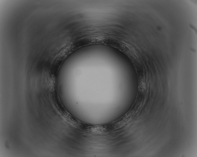 X0000091680468200709131551