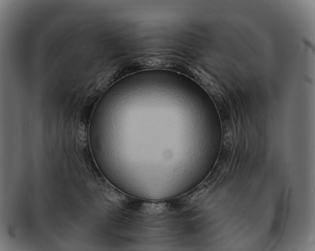 X0000091680469200709131551