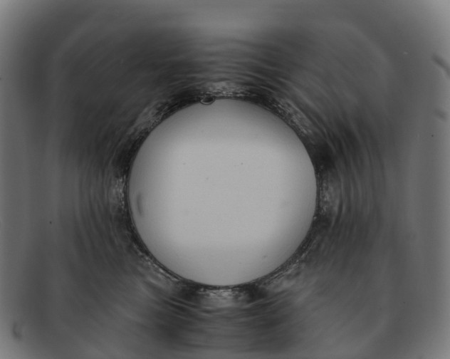 X0000091680473200709131551