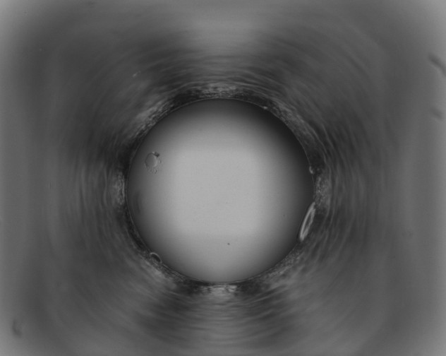 X0000091680474200709131551