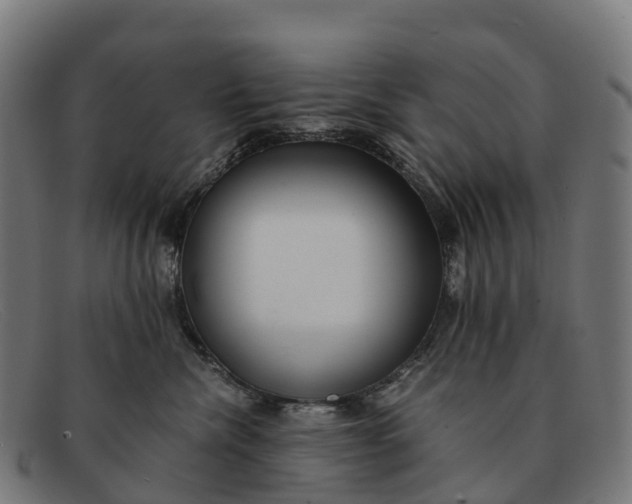 X0000091680476200709131551