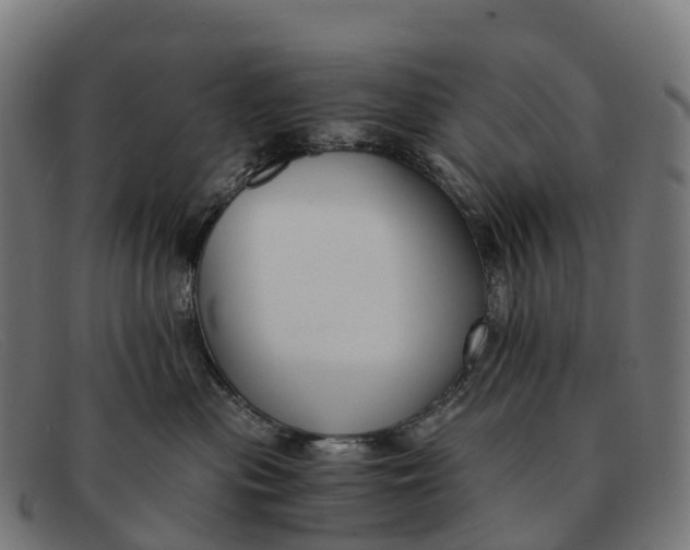 X0000091680477200709131551