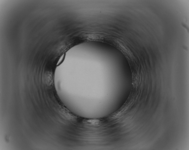 X0000091680478200709131551