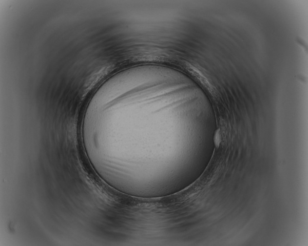 X0000091680482200709131550