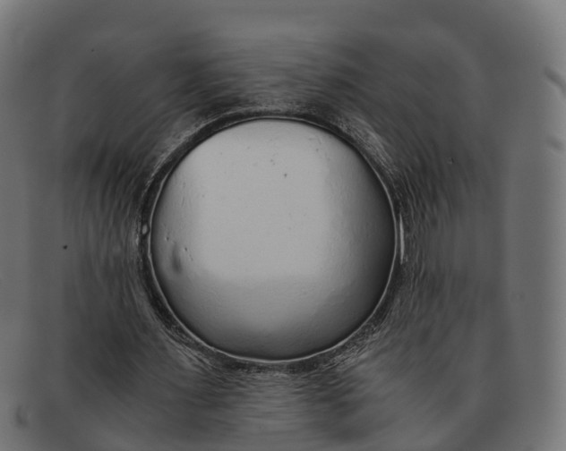 X0000091680483200709131550