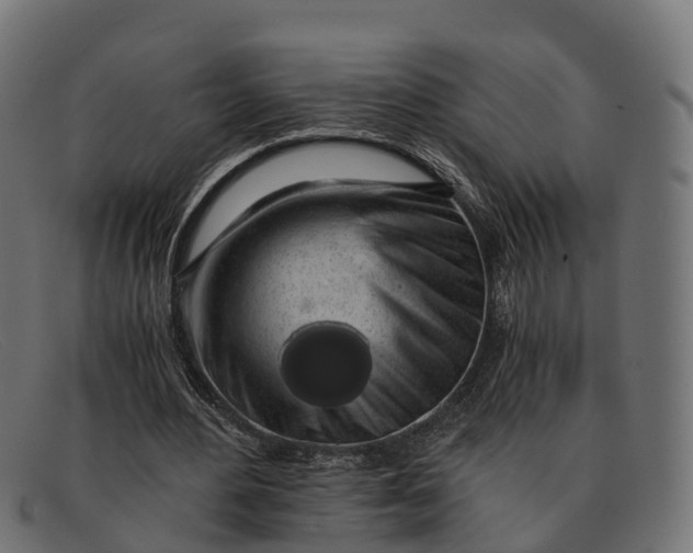 X0000091680484200709131550