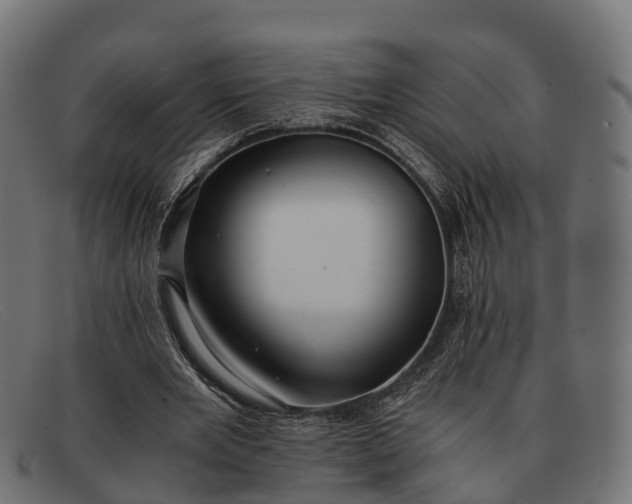 X0000091680485200709131550