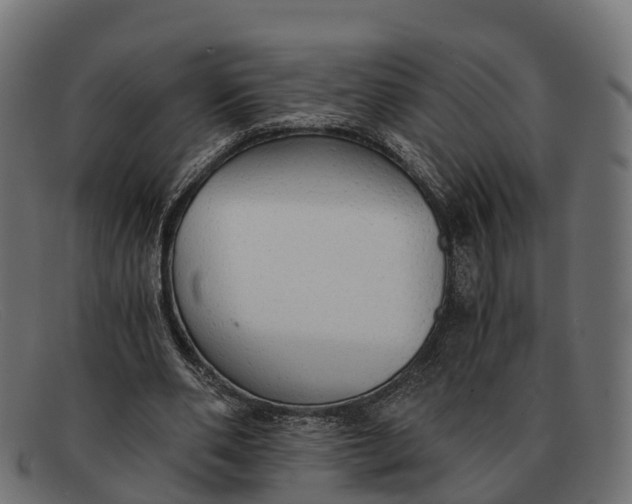 X0000091680486200709131550