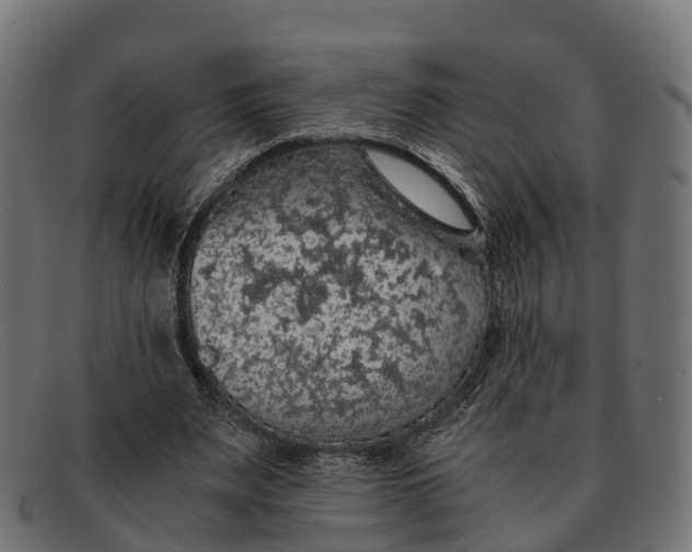 X0000091680487200709131550