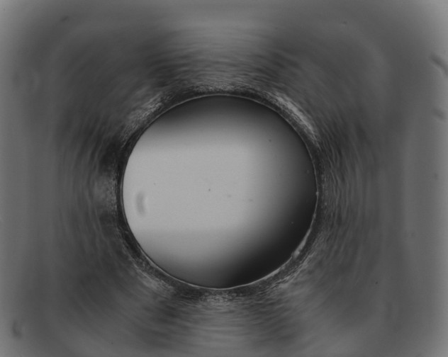 X0000091680489200709131550