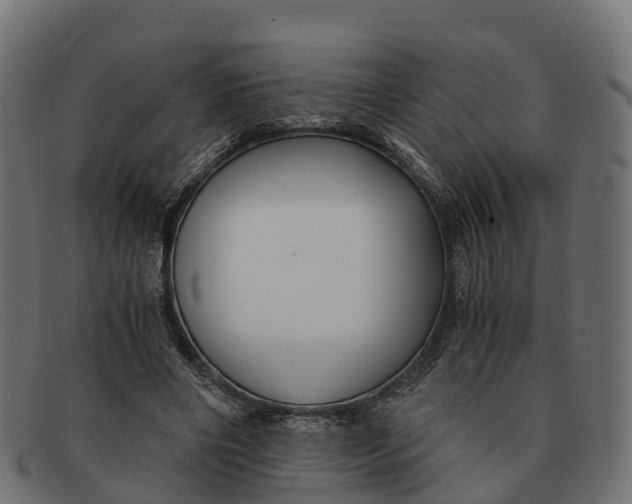 X0000091680490200709131550