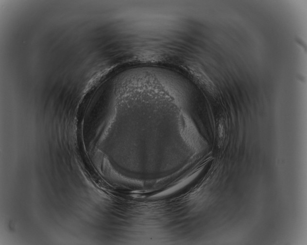 X0000091680492200709131550