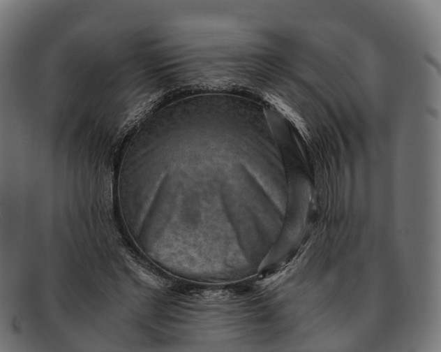 X0000091680493200709131550