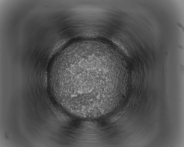 X0000091680494200709131550