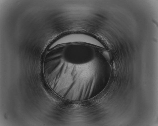 X0000091680496200709131550