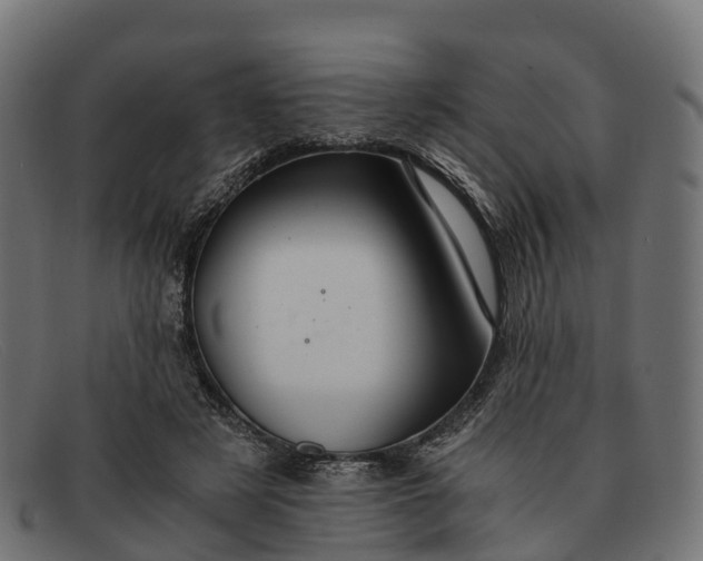 X0000091680497200709131550