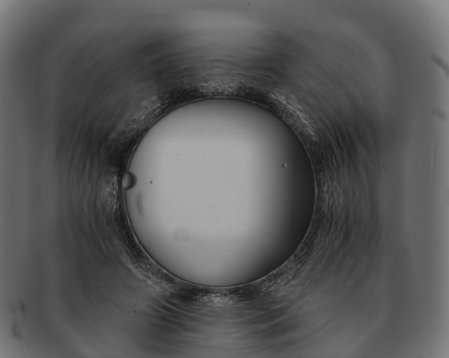 X0000091680498200709131550