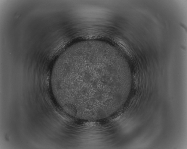 X0000091680499200709131550