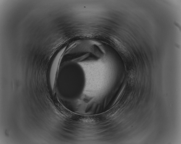 X0000091680500200709131550