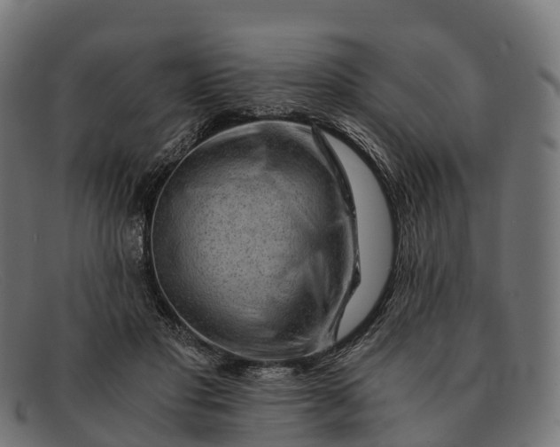 X0000091680501200709131550