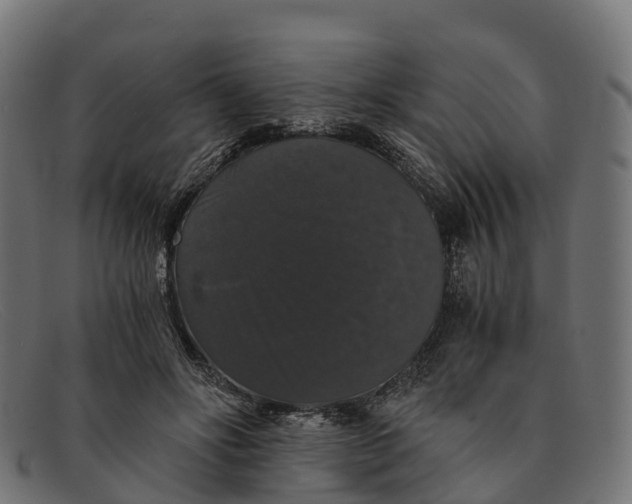 X0000091680502200709131550