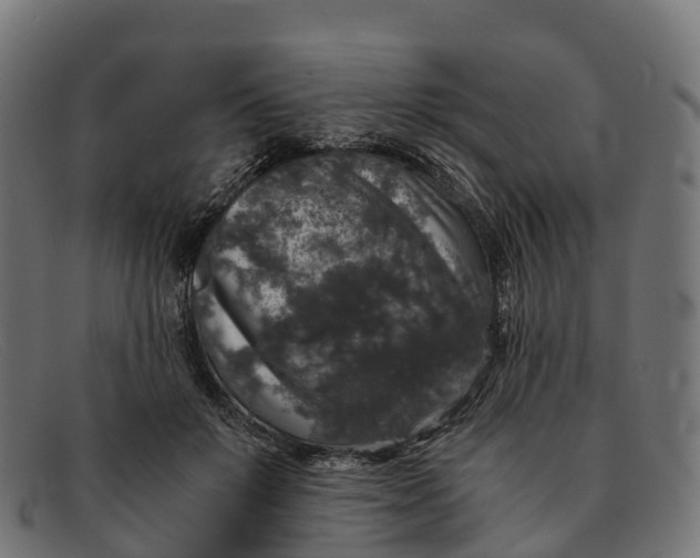 X0000091680503200709131550