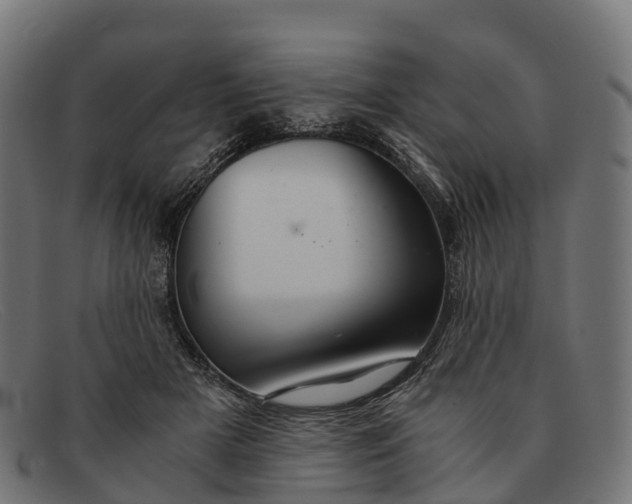 X0000091680505200709131550