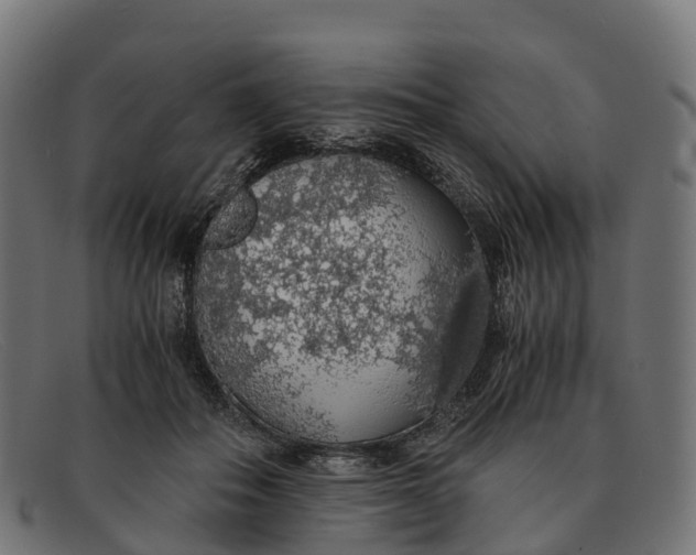 X0000091680506200709131550