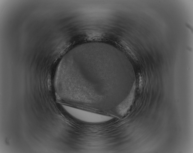 X0000091680508200709131550