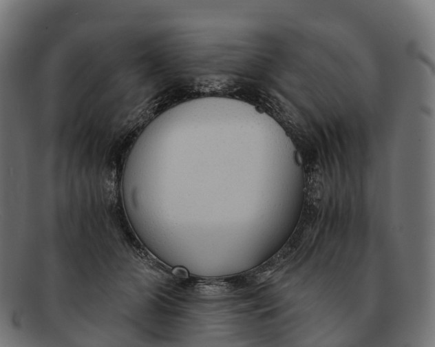 X0000091680510200709131550