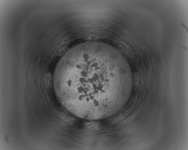 X0000091680511200709131550