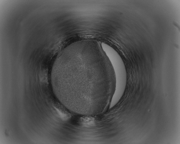 X0000091680512200709131550