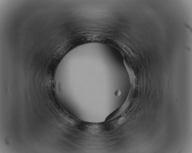 X0000091680513200709131550