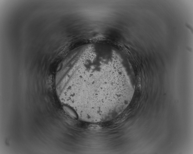 X0000091680519200709131550