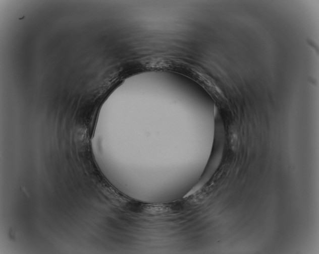 X0000091680521200709131550