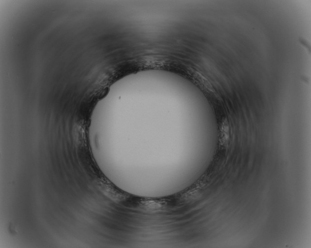 X0000091680522200709131550