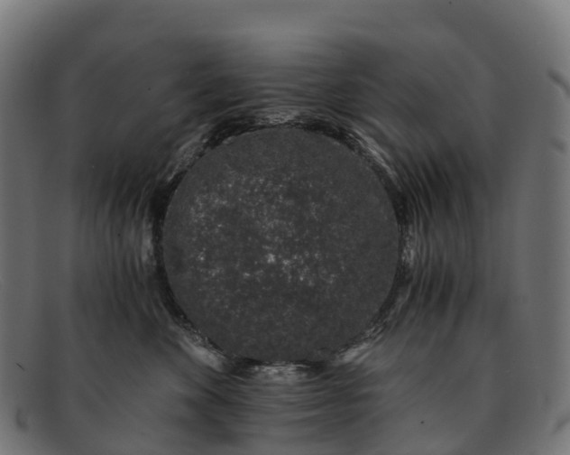 X0000091680524200709131550