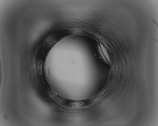 X0000091680525200709131550